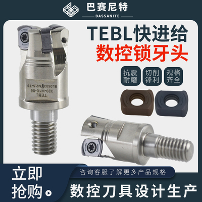 TEBL锁牙式刀头特固克BLMP0603