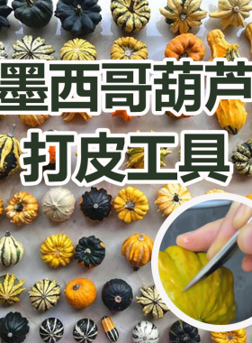 墨西哥葫芦打皮工具神器葫芦刮刀留白刮刀葫芦染色去薄刮皮刀全套