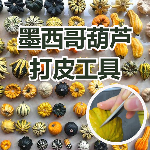 墨西哥葫芦打皮工具神器葫芦刮刀留白刮刀葫芦染色去薄刮皮刀全套