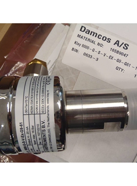 Klay 8000-G-S-V-EX-G9-61 16bar EMERSON 5300070392 液位压力