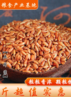 【5斤装】云南红米长粒红糙米红香米血稻米杂粮粗粮食2500g包邮