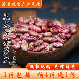【4份送1份】东北花芸豆紫花芸豆农家新花饭豆花腰豆菜豆500g包邮