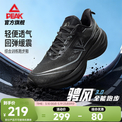 匹克骋风3.0跑步鞋男鞋