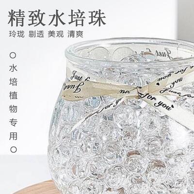 【环保无毒】透明泡大珠水培珠