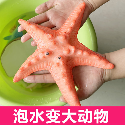 超大号泡水动物巨型泡水吸水变大海洋泡水膨胀玩具水宝宝巨无霸