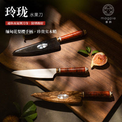 带鞘不生锈高氮钢持久锋利瓜果刀