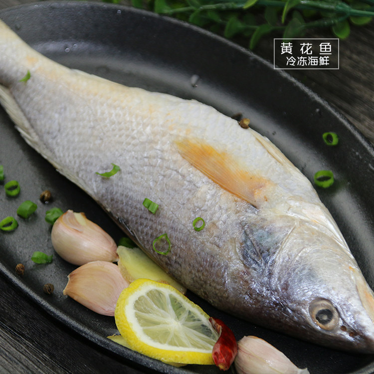 海鲜冻品鱼类食材 冻鱼整条 冻鲜缅甸黄花鱼  仅15元/条