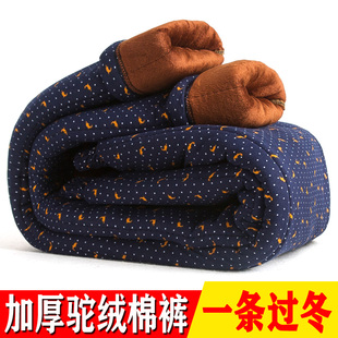 冬季 中老年人加厚驼绒棉裤 羊毛裤 男女东北大码 高腰加绒老人保暖裤