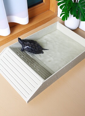 陆龟泡澡盆 黄缘喝水盆 乌龟塑料喂食器爬宠喂食盆半水龟冲凉盆