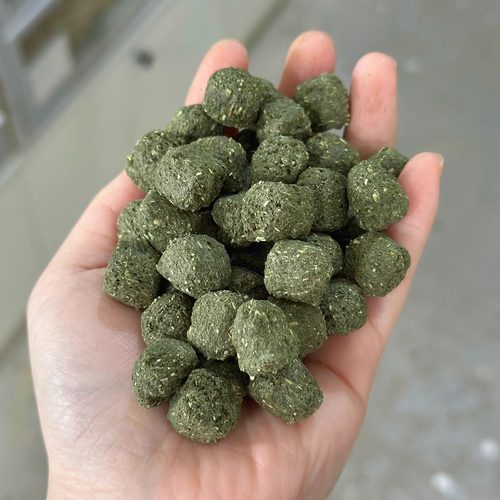 迷你兔子荷兰猪龙猫磨牙零食