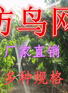 紫枫园艺防鸟网果园防护网