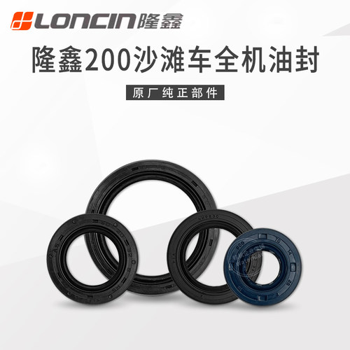 隆鑫LX200沙滩车发动机油封全套