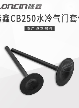 隆鑫原厂CB250水冷发动机进气门/排气门 金凌沙滩车气门摇臂套件