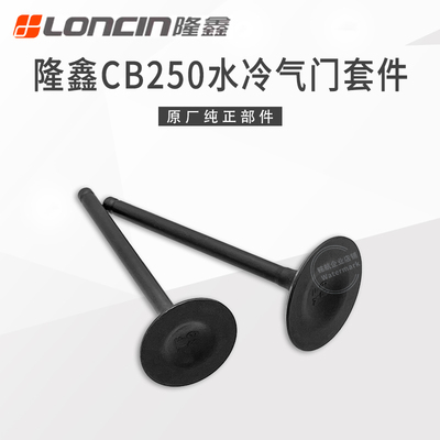 隆鑫原厂CB250水冷发动机气门