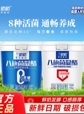 兰格格酸奶八旗菌凝酪760g2桶内蒙纯酪0蔗糖凝固雪原乳业草原酸奶