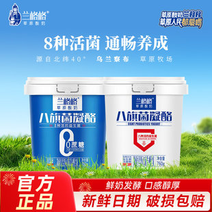 兰格格酸奶八旗菌凝酪760g2桶内蒙纯酪0蔗糖凝固雪原乳业草原酸奶