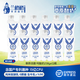 兰格格草原酸奶活的益生菌258g10/12瓶低温酸奶0蔗糖酸奶顺丰发货