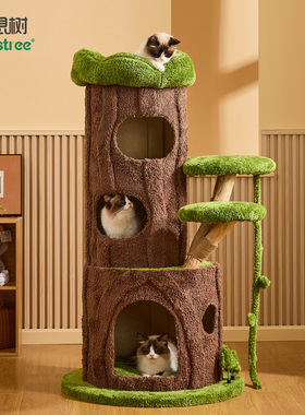 喵想树丛林实木猫爬架猫窝猫抓板一体小户型不占地剑麻猫咪架子