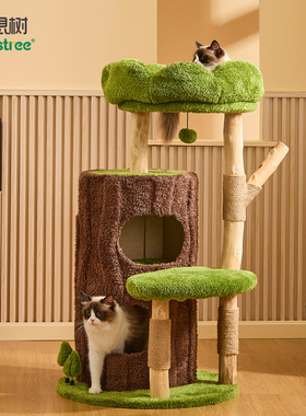 喵想树丛林实木猫爬架猫窝猫抓板一体小户型不占地剑麻猫咪架子
