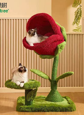 喵想树食人花猫爬架猫窝猫抓板剑麻一体小户型不占地猫架子