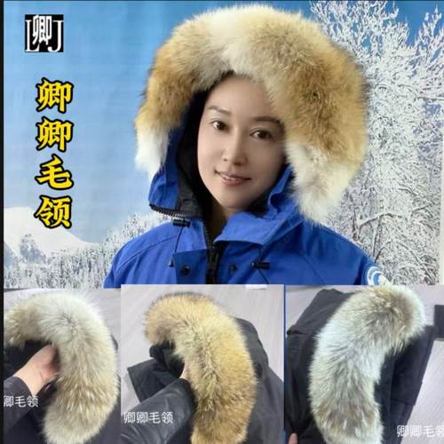 大鹅Chilliwack2050郊狼毛领单卖