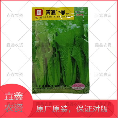 德高青浪7号小白菜快菜绿帮绿叶原装