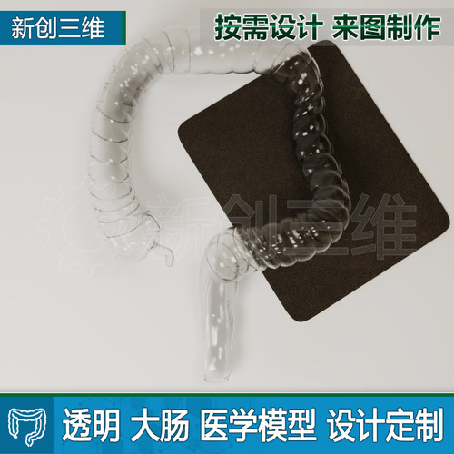 结肠镜训练仿真透明大肠模型定制