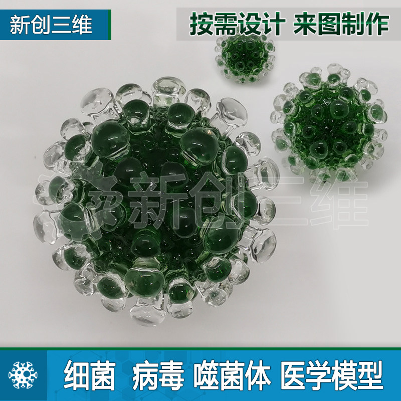 透明病毒细菌3D打印定制模型教具
