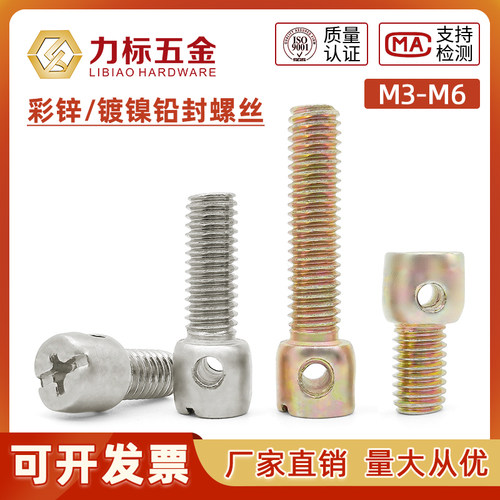 镀镍铅封螺丝电表带孔