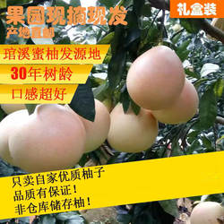 福建平和琯溪蜜柚三红柚蜜柚红心柚白心柚葡萄柚木瓜蜜丁橙子