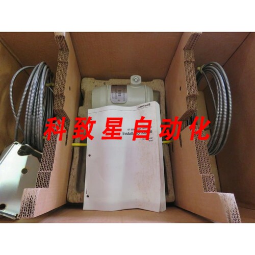 工业配件变送器变送器YSTR12D1/C/-1E0AFAAA2000-CM-MR F1C3-71