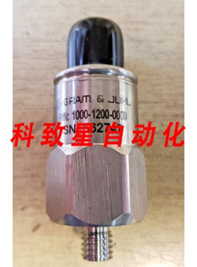 工业配件GRAM&JUHL 1000-1200-0000加速度计 100MVG NOM 10001200