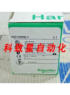 工业配件9001 KM58LY 照明模块全电压 120VAC/DC 黄色 LED