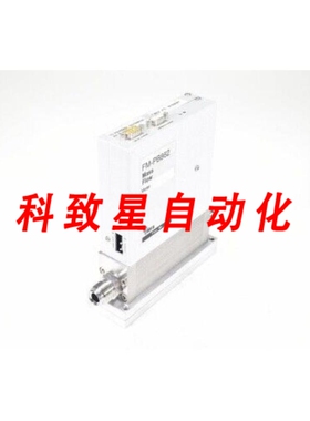 工业配件AERA FM-PB862数字质量流量计 250SLM AR