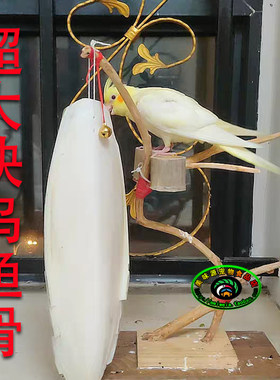 打孔天然超大块墨鱼骨玄凤虎皮牡丹鹦鹉补钙磨牙鸟食乌鱼骨海螵蛸