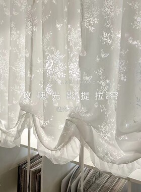玫瑰光影纱 法式奶油浪漫透光不透人定制提拉帘/气球帘/奥地利帘
