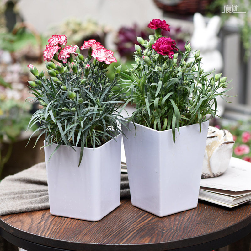 亚克力塑料花瓶插花器现代简约仿陶瓷花盆仿真花鲜花插花园艺水培