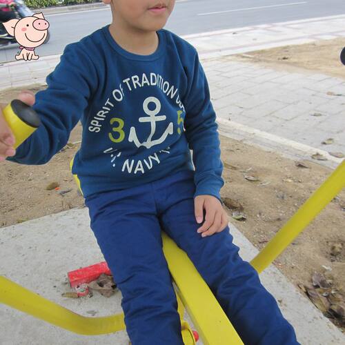 包邮抓绒卫衣休闲男春秋