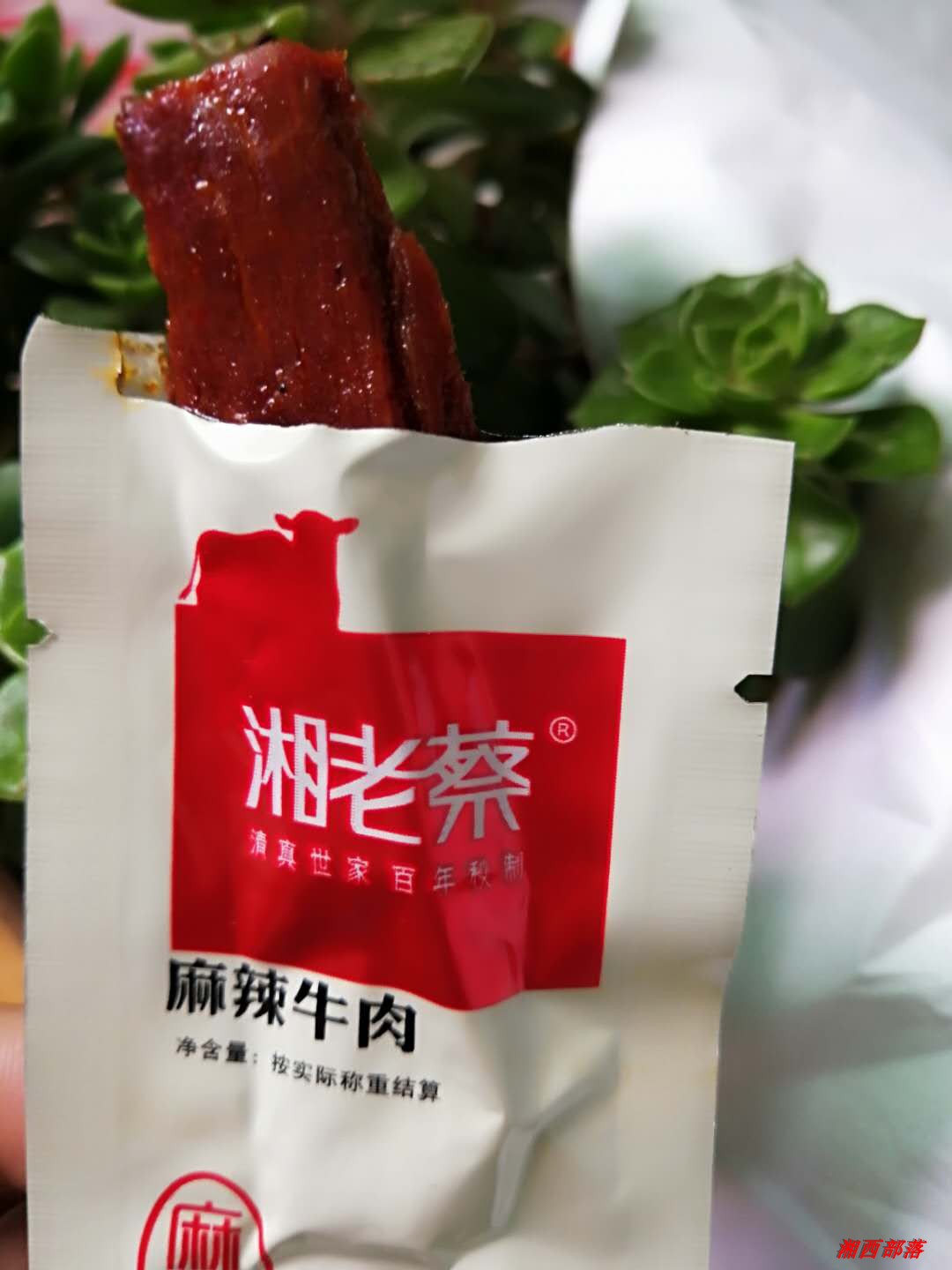 湘老蔡湖南特产麻辣牛肉包邮