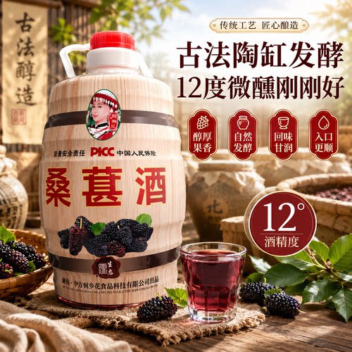 正宗湖南靖州12度5斤原汁纯酿桑椹果酒女生微醺杨梅酒甜甜的果酒
