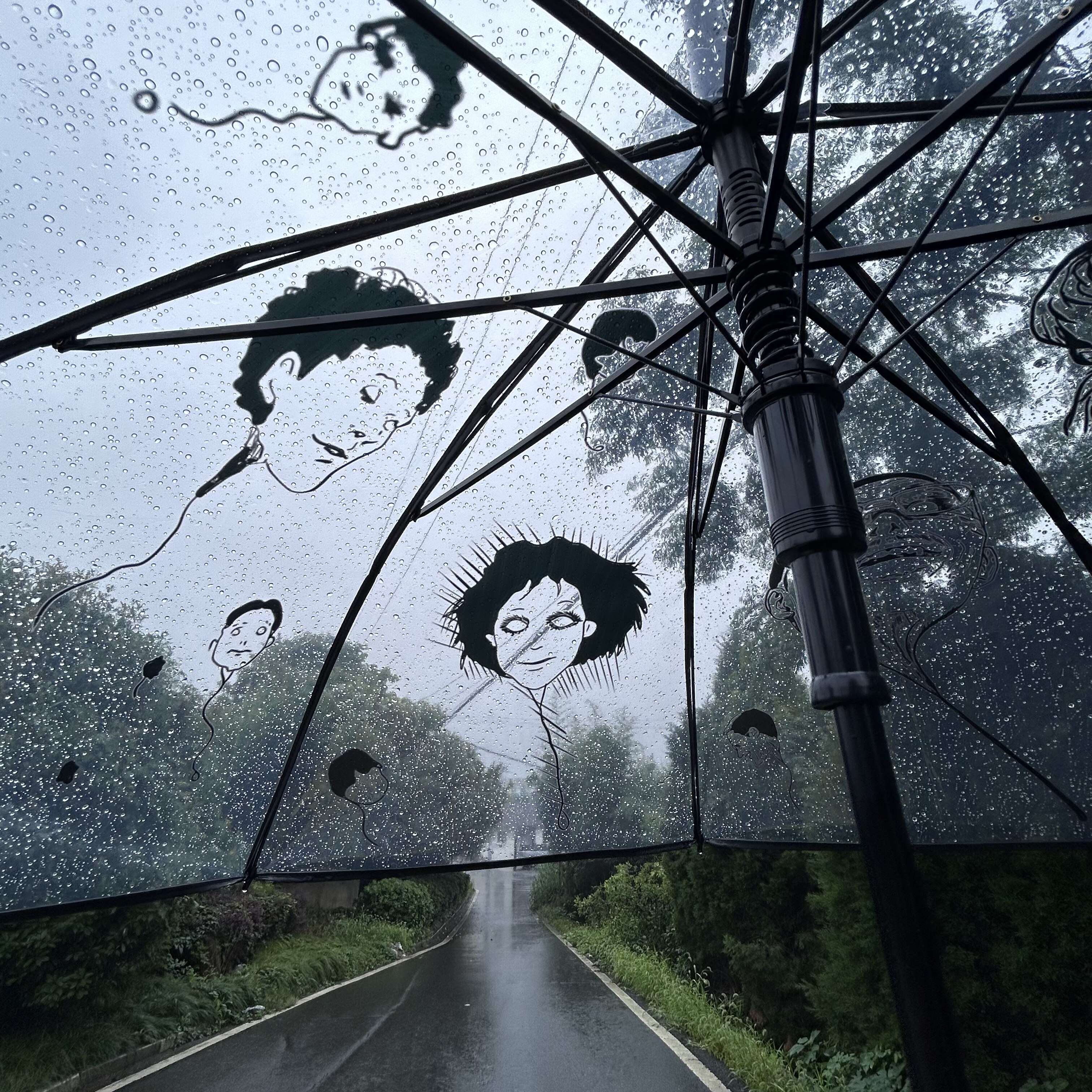 【工厂现货】伊藤润二周边雨伞柠季联名直杆雨伞弯柄 透明雨伞