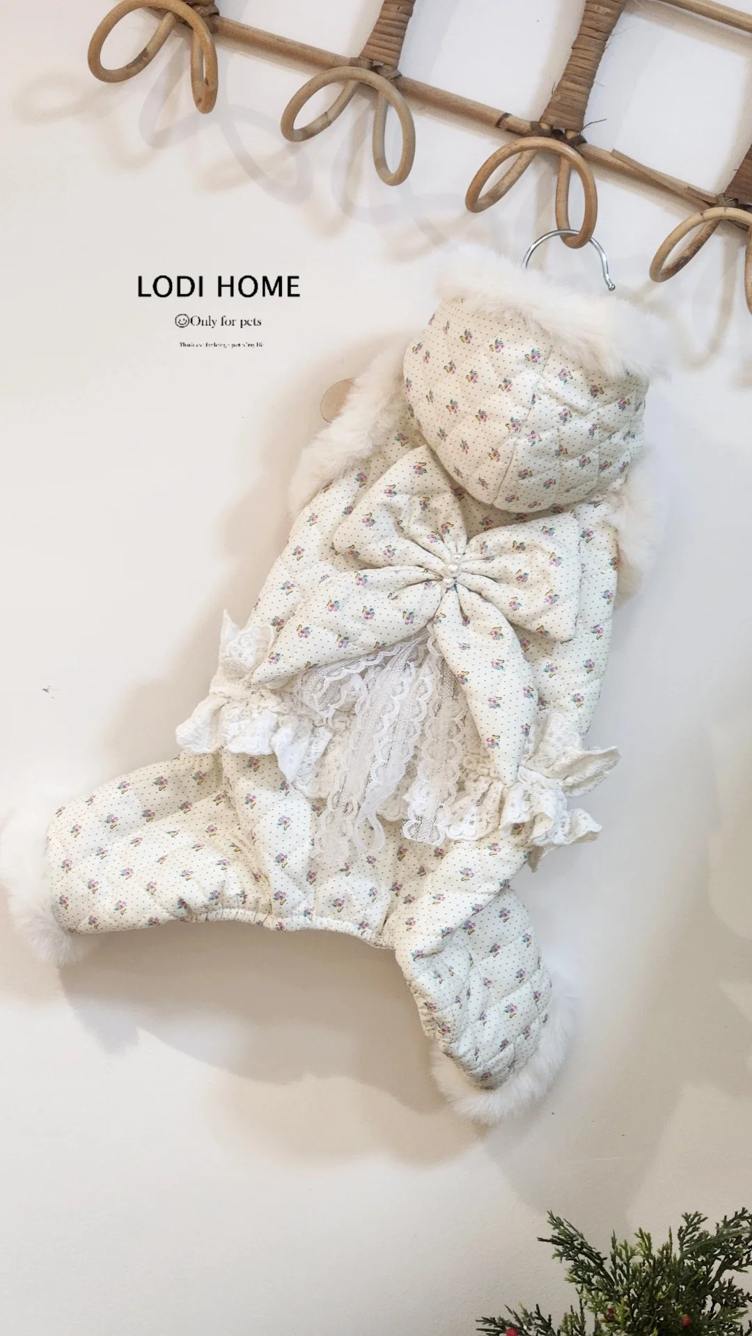 洛迪家比熊贵宾秋冬蕾丝花边四脚衣猫咪泰迪猫狗宠物小中型犬衣服