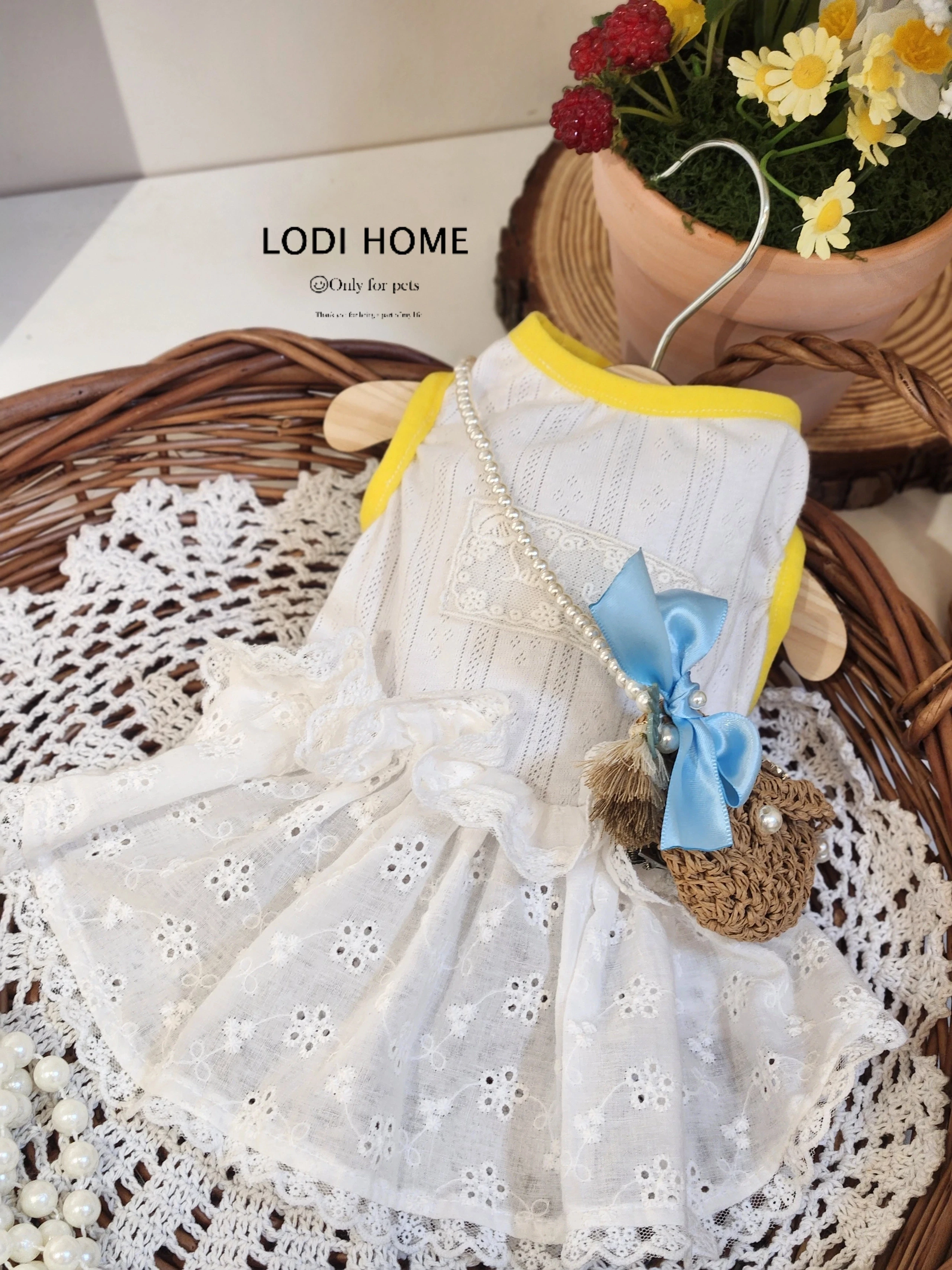 洛迪家比熊贵宾白底蕾丝花边裙猫咪泰迪猫狗宠物小中型犬衣服春夏