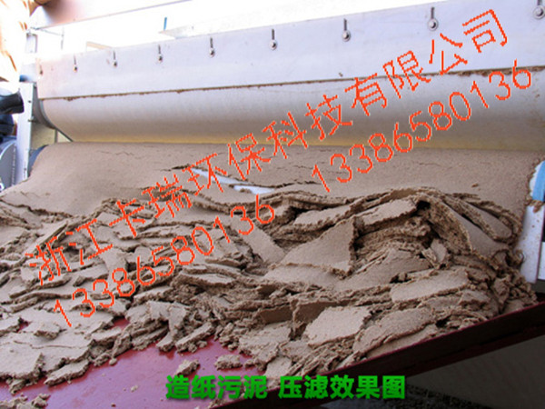 污水处理带机网布 脱泥网带 聚酯网浓缩网带 压滤网带欢迎定制