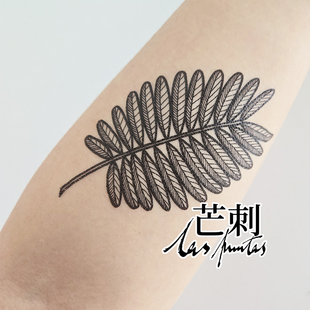 芒刺原创文身贴 黑色手绘防水持久文艺高级感纹身贴Tattoo 含羞草