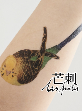 芒刺原创文身贴|蛋师傅|彩绘防水持久虎皮鹦鹉鸟纹身贴|Tattoo