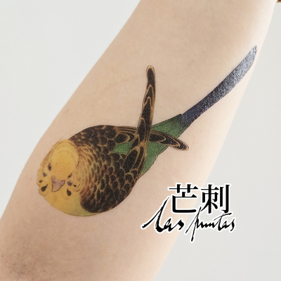 芒刺原创文身贴|蛋师傅|彩绘防水持久虎皮鹦鹉鸟纹身贴|Tattoo