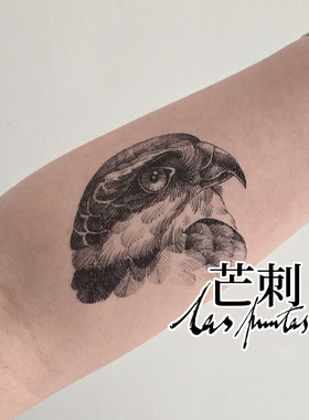 芒刺原创|雀鹰|黑色手绘防水持久鸟类纹身贴高级感|夜访吸血鬼