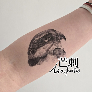 芒刺原创|雀鹰|黑色手绘防水持久鸟类纹身贴高级感|夜访吸血鬼