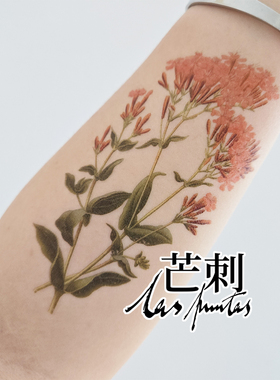 芒刺文身贴|高雪轮|捕蝇草防水持久彩色彩绘纹身贴花小众风高级感